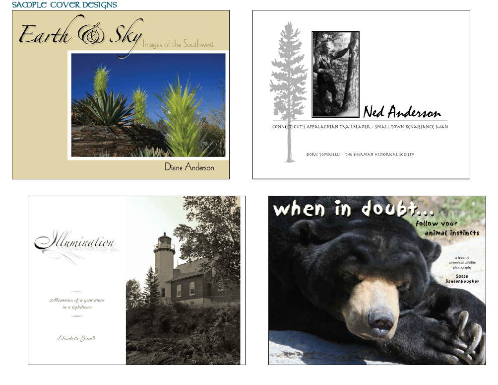 Publishing Samples 9 - Book Covers 4